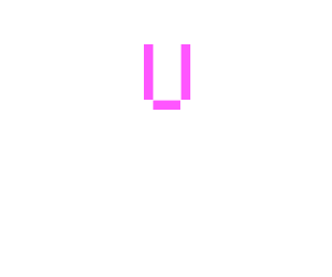 3 months Ultimate